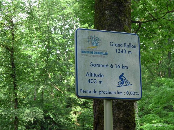 Montée du Grand Ballon à vélo.