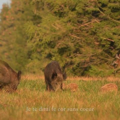 Dans un autre registre, bonne écoute !