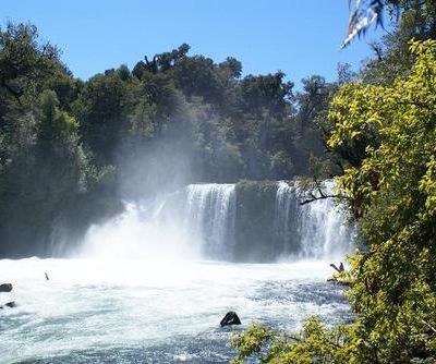 Le Parc National Puyehue: dernier jour au Chili