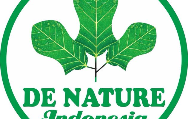 Obat Kencing Nanah Campur Darah Kapsul Gang Jie Gho Siah De Nature Di Apotik