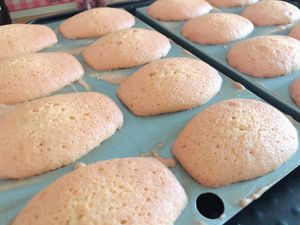 Madeleines de Proust