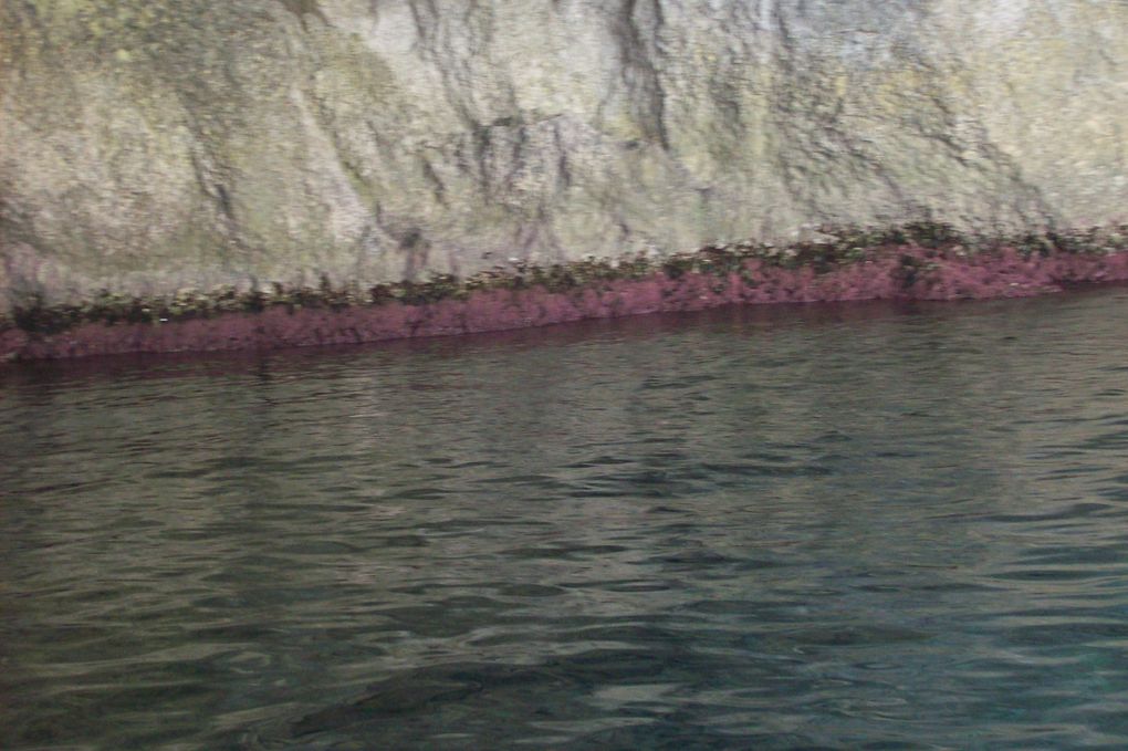 La côte sud, c’est la partie sauvage de Malte ! Ses grottes marines, 
ses temples néolithiques, ses ports aux barques de pêche colorées … 
possèdent un charme authentique.