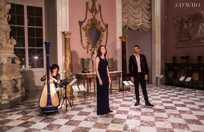 Playing for Pierre Frey at the Louvre