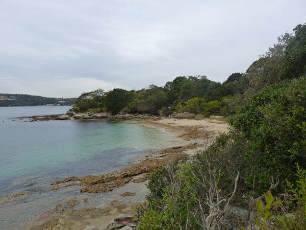 Album - Ferry - Manly