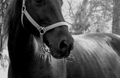 Rencontre dans les Alpilles