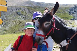 En compagnie d'un âne : un tour du Queyras (Hautes-Alpes)