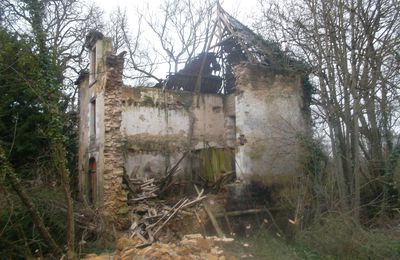 Xavier Fresneau restaure votre patrimoine