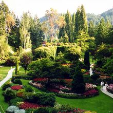 Tout à propos Jardin Paradis!