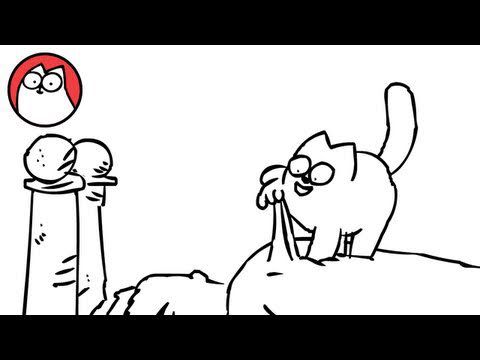 Simon's cat !