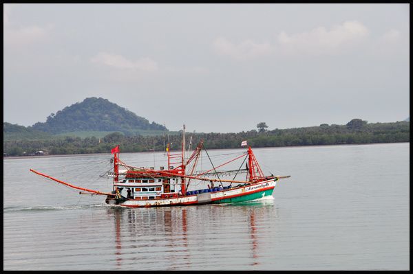 Mouhot l'avait fait en bateau, je n'ai pu "m'offrir" qu'un tour de ferry vers Koh Chang, et puisque la ligne maritime avec Sihanoukville est suspendu, c'est en bus que j'arriverai à Kampot ...