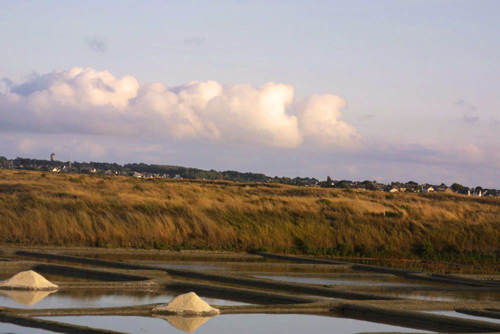 Images des marais salants de Gu&eacute;rande&nbsp;au lever du soleil