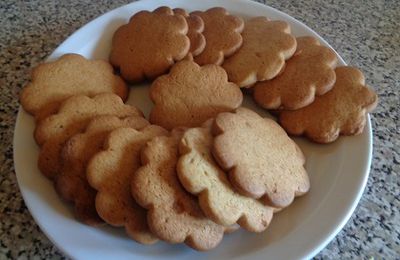 Biscuits aux épices (type spéculoos)