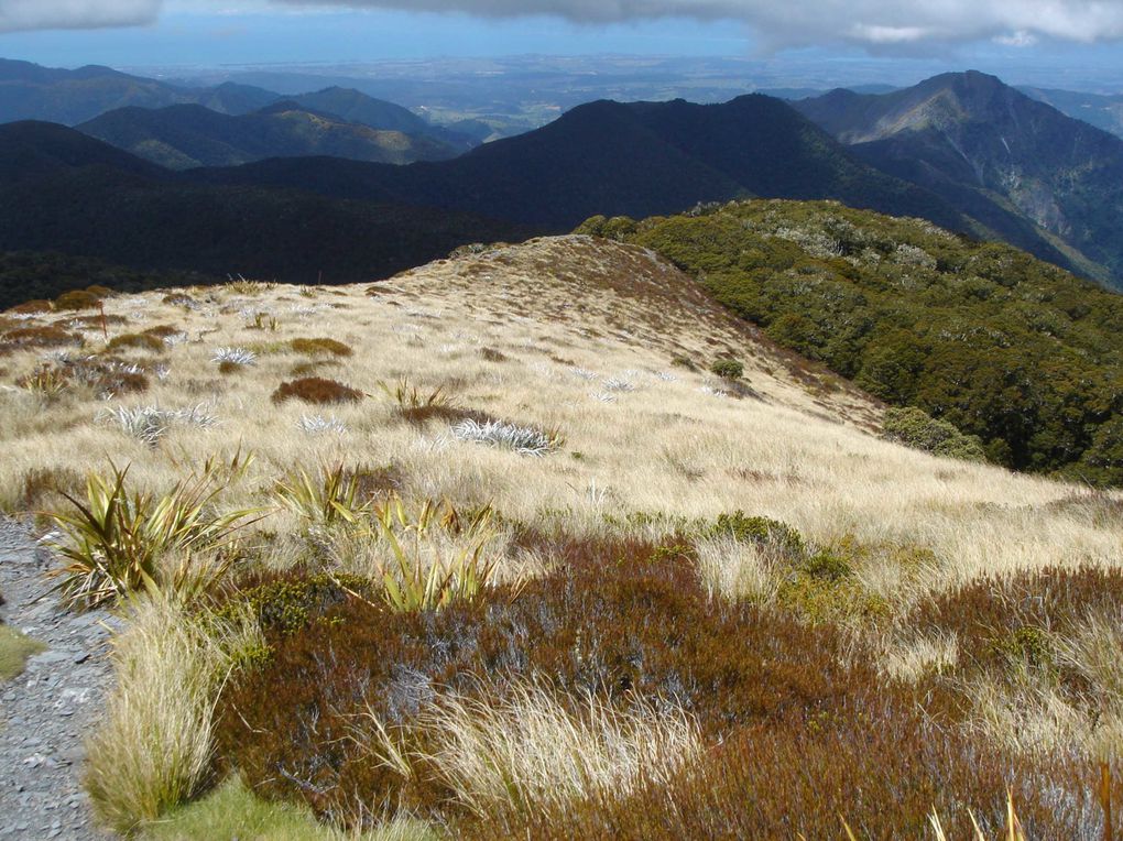 Album - Top South Island