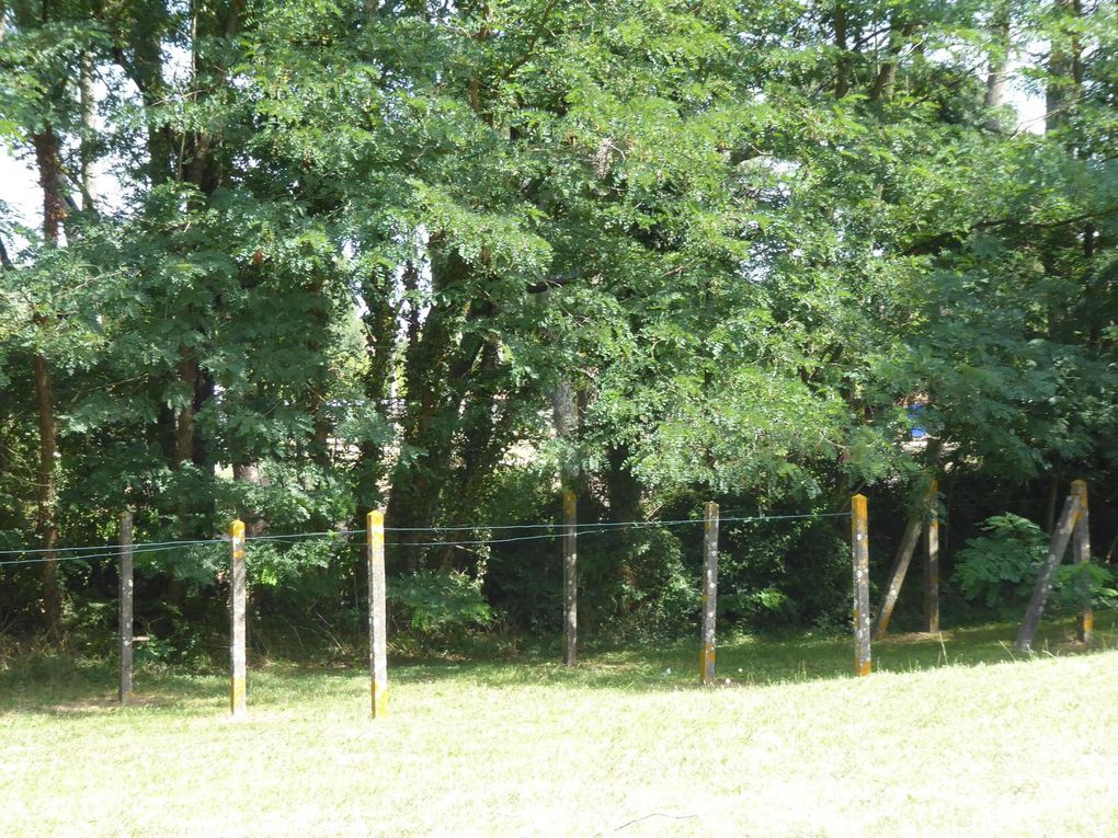 St Médard en Jalles: la Résidence de Berlincan veut garder ses arbres! Non à l'abattage des arbres! Non à la disparition des espaces verts 