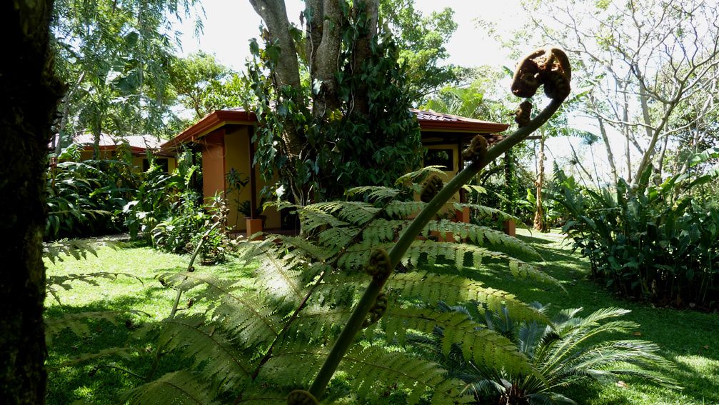Invitation très très privée...

à partager la douceur des nuits tropicales, les tendres couleurs des fleurs précieuses, la magie des petites lumières et vivre dans le confort délicieux de meubles en bois précieux.

Laissez-vous gagner par le