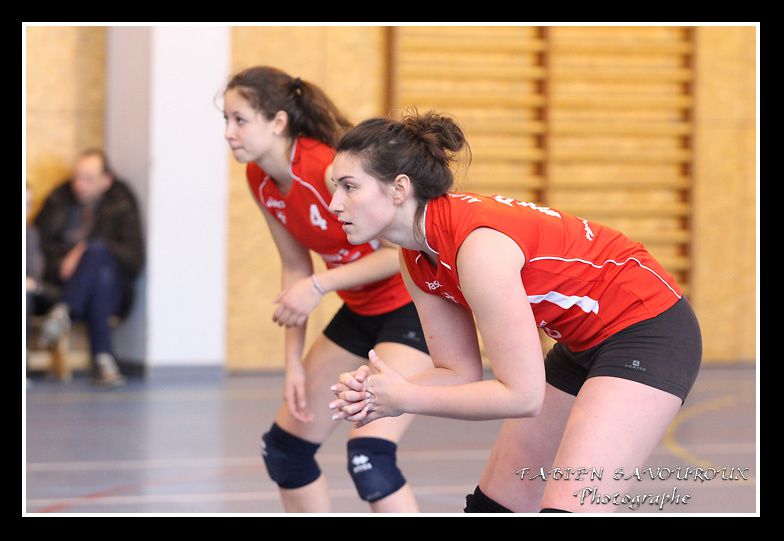 Album - Volleyball-ALChambery-Bron