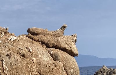 Des formes rocheuses à la Galère