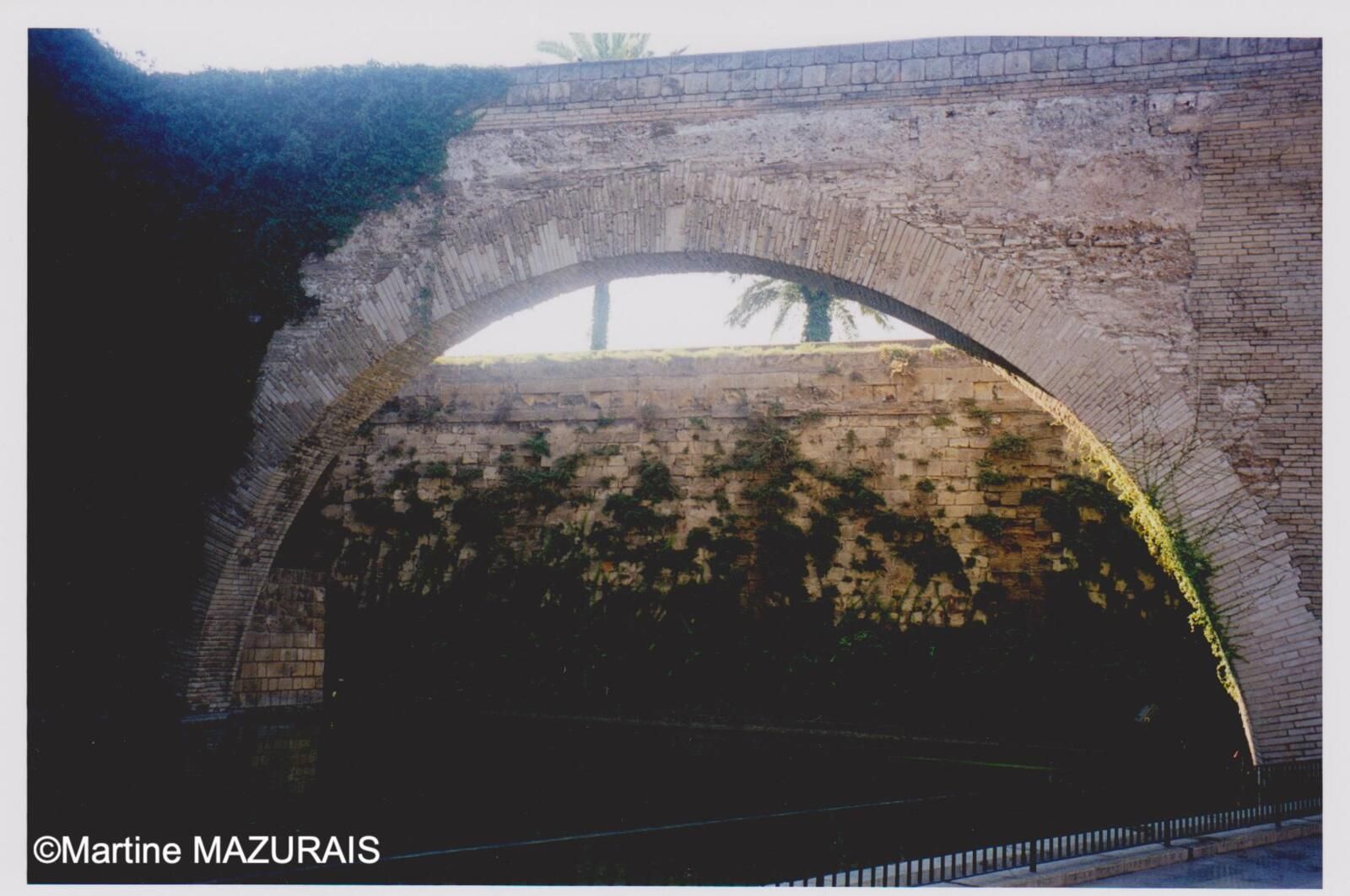 Palma Drassana