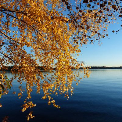 Octobre 2: 17 et 18 octobre, parc national et Tampere