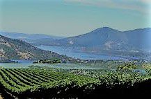 #Chenin Blanc Producers Lake County California Vineyards 