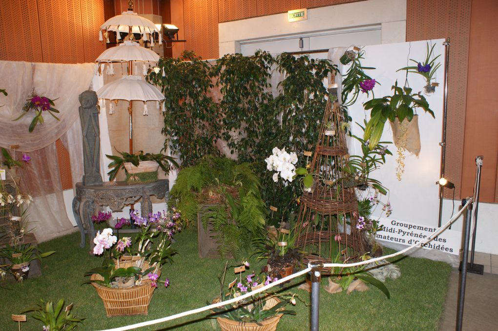 L'exposition était organisée par le Groupement Midi-Pyrénées des Amateurs d'Orchidées pour sa 20éme édition, à l'Union près de Toulouse.