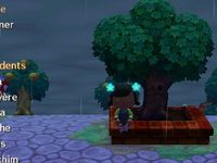 Le secret de l'arbre de la place