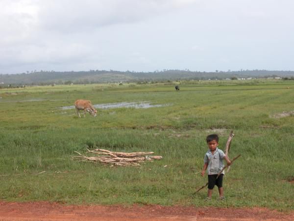 Juillet - Aout 2005
Voyage en Thailande, au Laos et au Cambodge