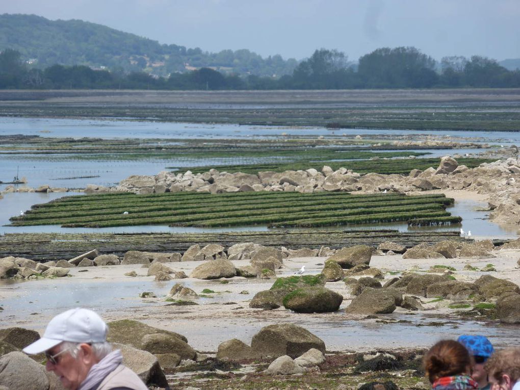 Voyage dans le Cotentin du 13 au 21 Juin 2015