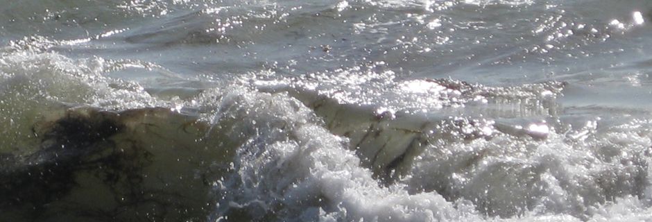 Un petit tour à la mer