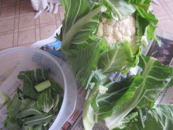 Journée anti-gaspi dans l'alimentation...