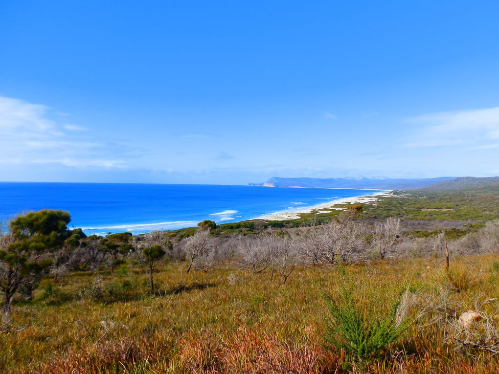 Album - tasmania