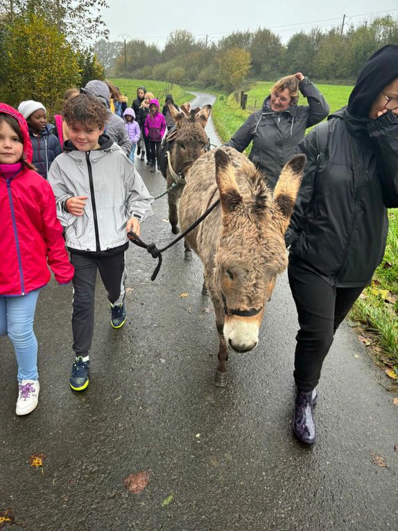 Après une nuit assez calme pour les unes ... moins pour les garçon, un petit déjeuner copieux pour être "parés" pour une randonnée avec les ânes.Le groupe se plait, le gîte est très agréable, la ferme à quelques centaines de mètres à peine. Malgré le temps maussade voir pire par moment, tout va bien. Résumé de la journée d'ici quelques heures😉😉😉