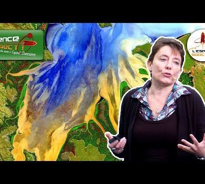 Science En Direct - Le changement climatique vu de l'espace | Pascale Ultré-Guérard