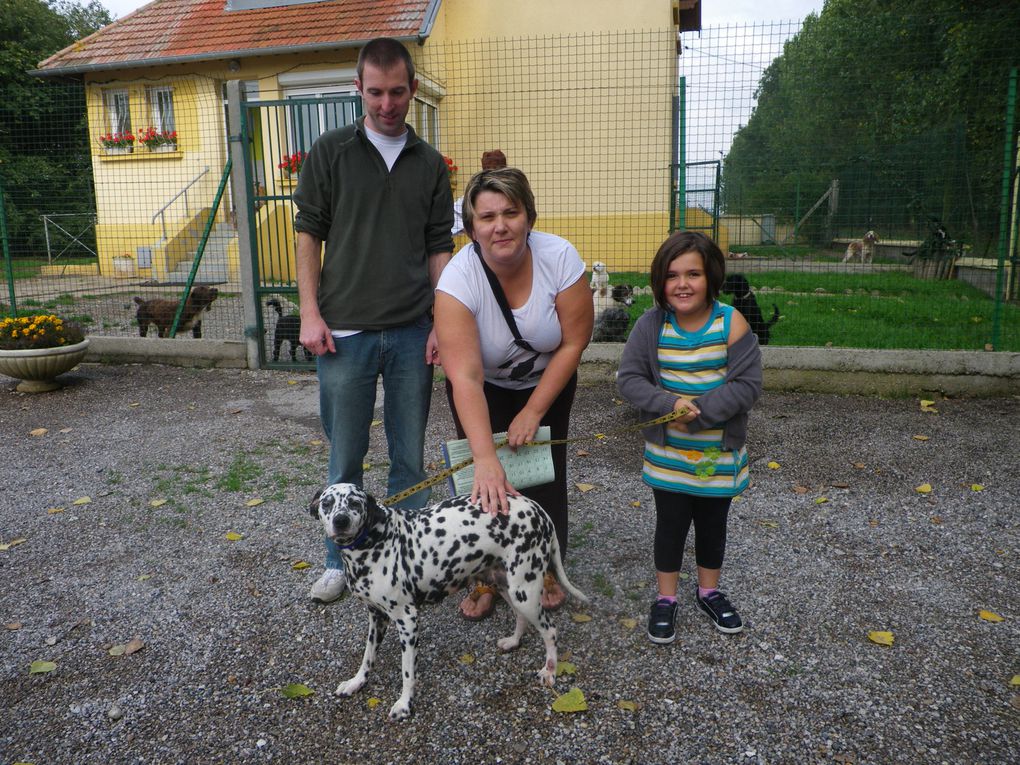 Album - CHIENS-ADOPTES-juillet-août-septembre-10.