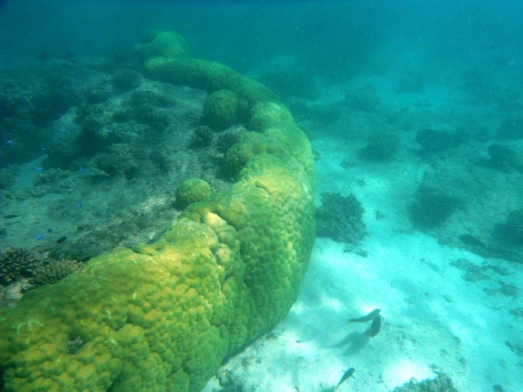 Album - Coral Bay - Broome 30.05.2012