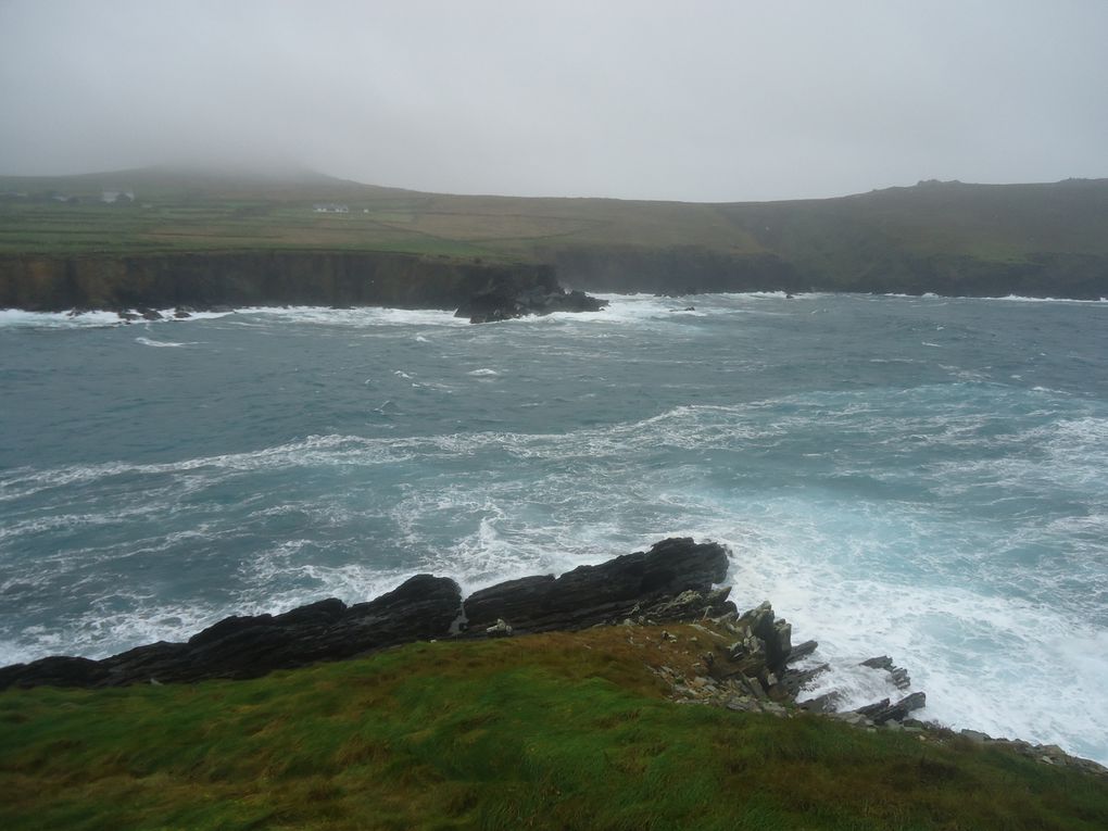 photos d'une excursion dans la ville de Killarney avec ses "pubs" colorés et du château de Dingle sur la côte Sud du pays avec un temps typique d'Irlande!