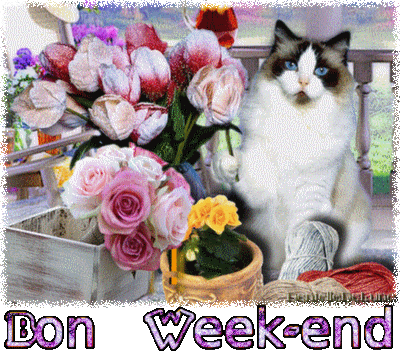 Gif animé bon week-end avec chat et fleurs - les gifs animés de  dentelledelune