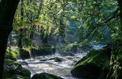 9 SEPTEMBRE : "RIVIERE ET BIODIVERSITE" 