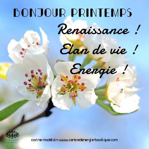 Citations Corine Madelain