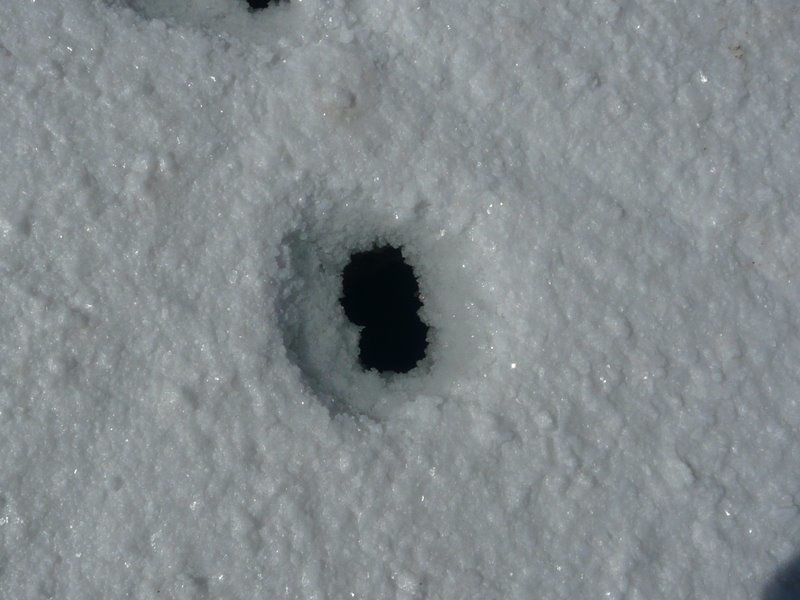 Album - Salar-d-Uyuni