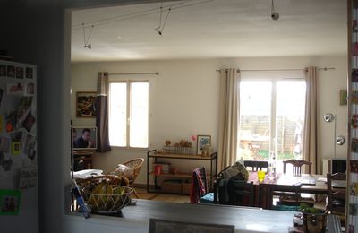 Salon, salle à manger, terrasse et petit jardin