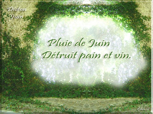 Album - 14 ~ Dictons de Juin ~ Cartes à imprimer