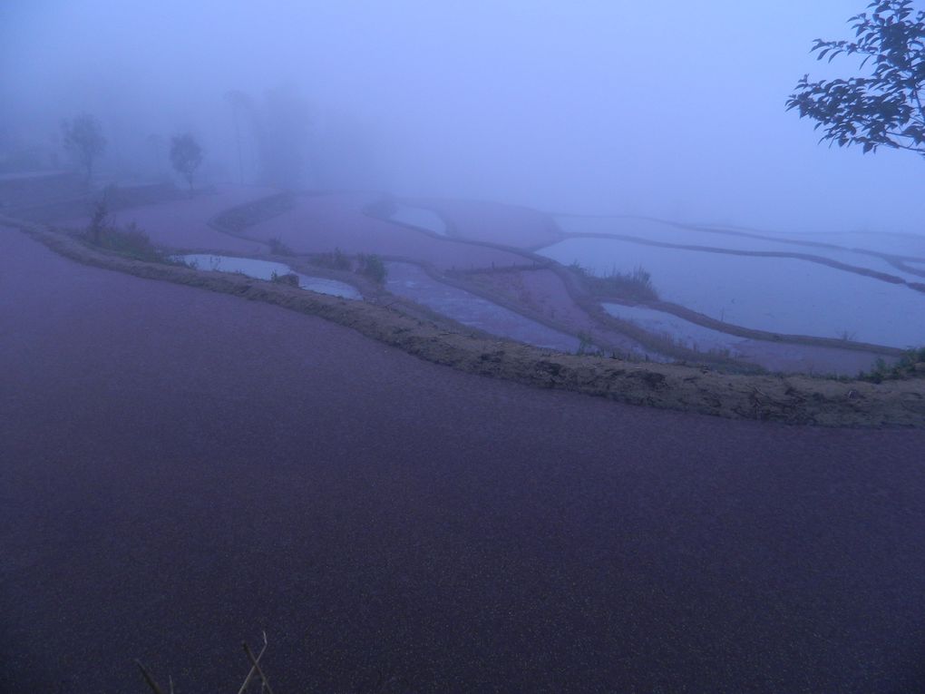 Un pur régal que de se balader au hasard dans les environs de Yuanyang à la découverte des rizières en terrasse, au lever ou coucher du soleil, souvent dans la brume...
