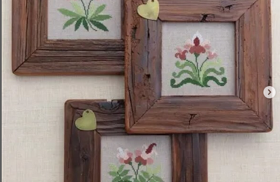 Fiori  dei nostri giardini ? Forse si , ... forse no !