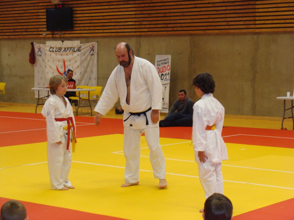 arbirtage d'une compétition de judo