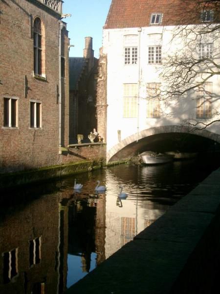 <P><FONT color=#0080ff><EM>Quelques photos de Bruges la morte ou la venise de nord... prise lors de nos noces de Coton le 27décembre 2004</EM></FONT></P>