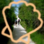 Le chemin de Compostelle