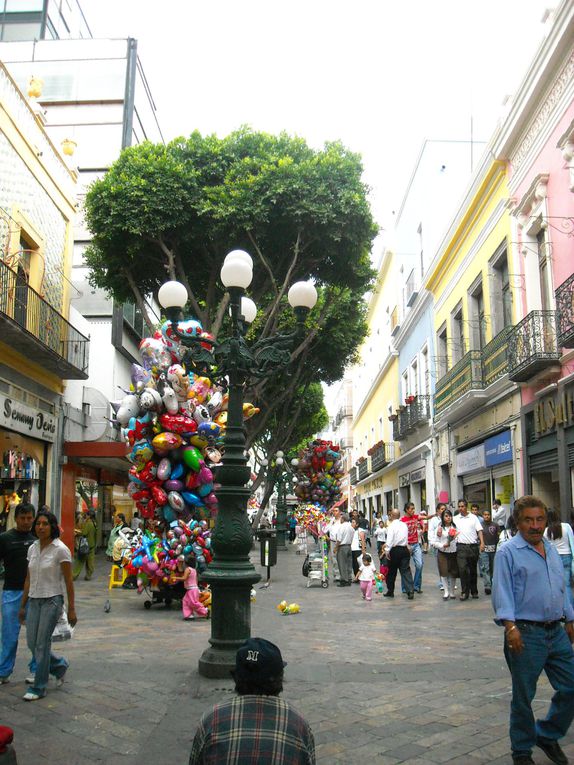 Album - 115- Entre-mexico-et-le-yucatan