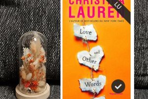 Avis Lecture - Love and other words - Christina Lauren