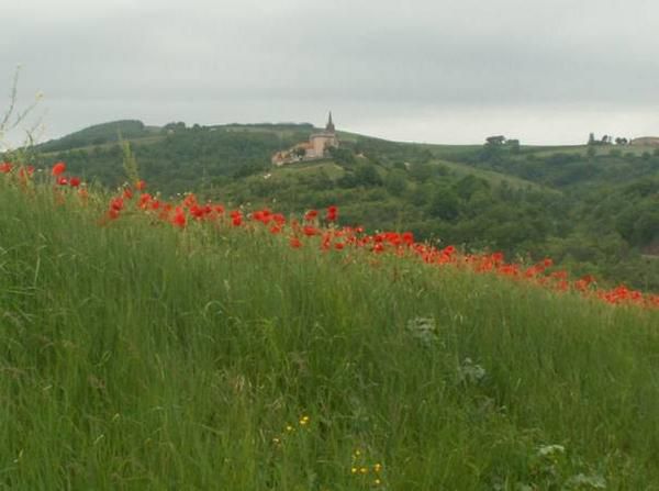 <em><strong>PHOTOS DE COURTILLES, GISSAC ET ENVIRONS DE ST AFFRIQUE</strong></em>